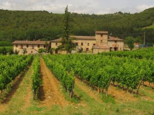 The 10 best wineries in Tuscany