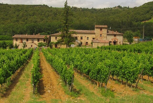 The 10 best wineries in Tuscany