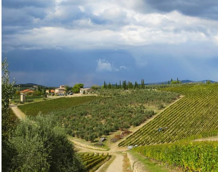 The best five Chianti wineries