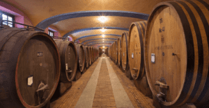 Experience tourism: the spectacular Fontanafredda Winery